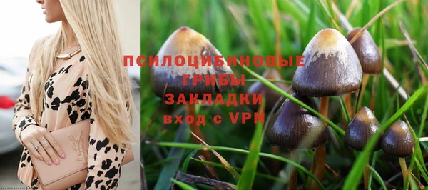 сатива Арсеньев